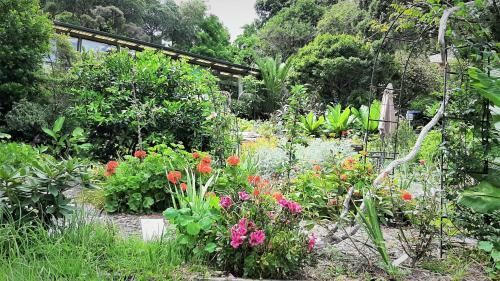 Hostal Madhuban - Waterfront In Whangaroa