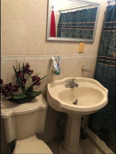 Apartamento Fridasan