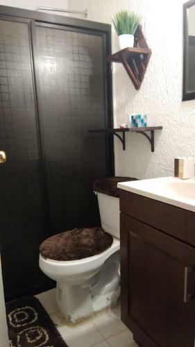 Apartamento Departamento Amueblado Con Todas Las Comodidades