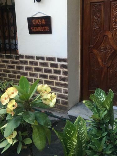 Casa Scarlett