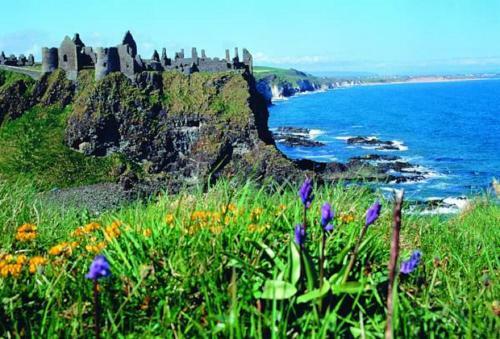 Bushmills Youth Hostel