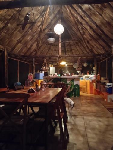 Bed & Breakfast Los Jardines de Ixchel Casa Luna