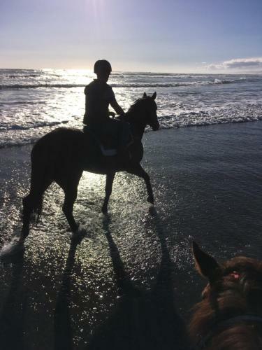 Bed & Breakfast Horseinaround