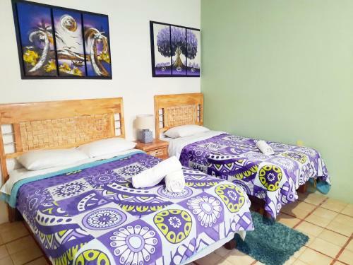 Casa Xhitas Apart Hotel