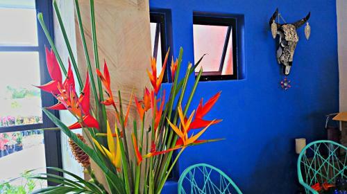Hotel Villa Star Of The Sea