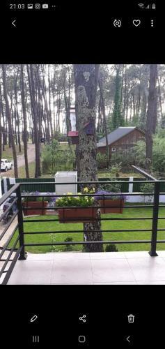 Villa Shekvetili Big Wonder