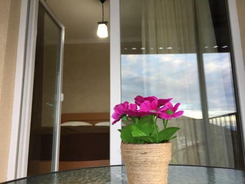 Hostal Guest House Maradona