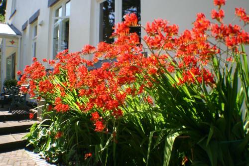 Glenlyon Bed And Breakfast