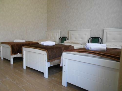 Hostal Kutaisi-maemani