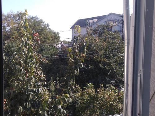 Apartment Avlabari (In Old Tbilisi)