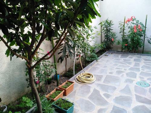 Old City Lg Apartment