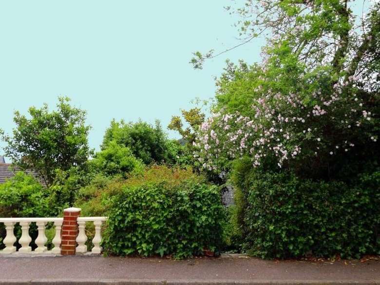 Bed & Breakfast Lammas Park House