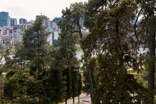 Nice Batumi Apartment