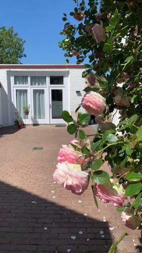 Hostal Gastenverblijf 't Einde Sfeer - Priv� Terras - Airco