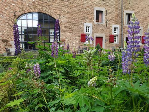 Apartamento Meschermolen 1, Klein 4-persoons Appartement