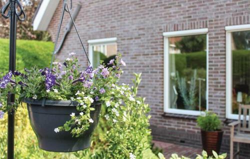 Apartamento Heerlijk Egmond