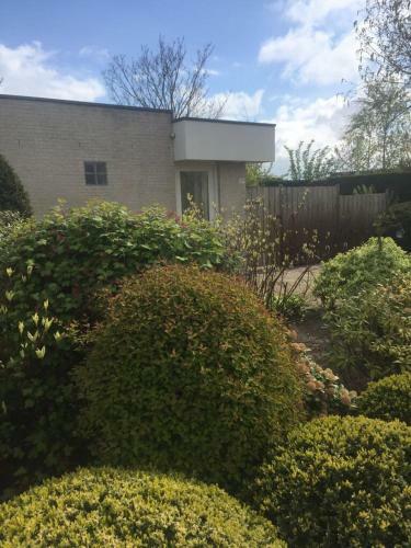 Apartamento La Tulipe