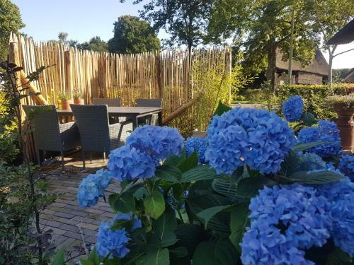 Apartamento Ermerhoek: Op de Deel