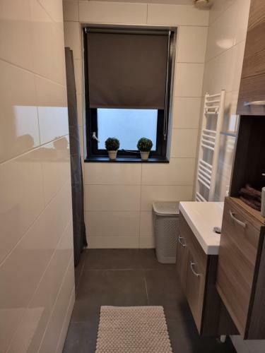 Vakantiewoning Maas En Waal 277