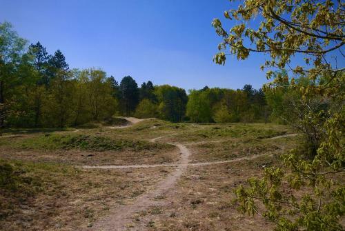 Luxe Chalet Op De Veluwe