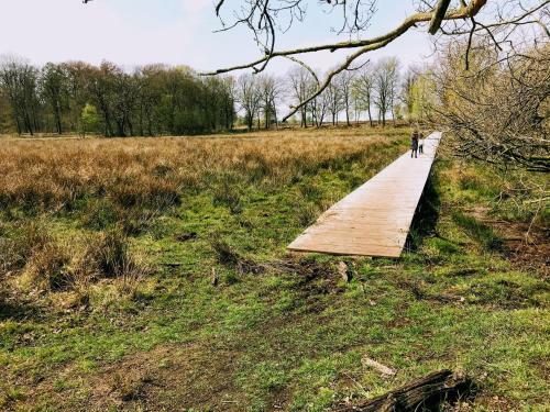 Apartamento Appartement "in de Wolken" In Gees