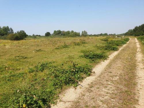 Apartamento Dierenweide Upstairs