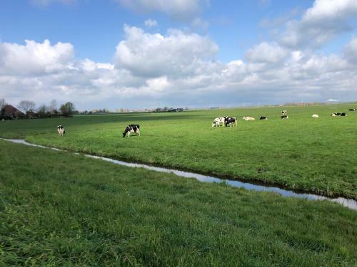 B&B de Pauw - Country Home Cooking