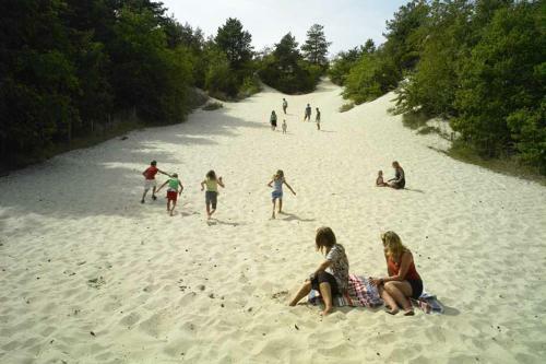 Beachhouse Duinoever