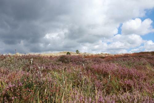 Bed & Breakfast Hoeve Te Gast