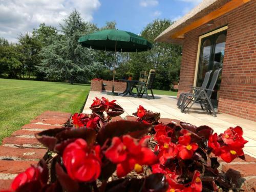 Apartamento Landgoed de Blaauwe Blaer