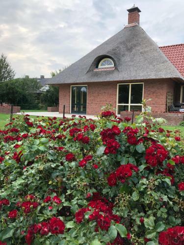 Apartamento Landgoed de Blaauwe Blaer