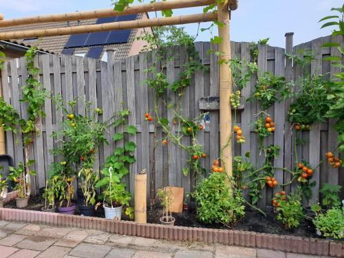 Apartamento Studio "shoshana" Harderwijk