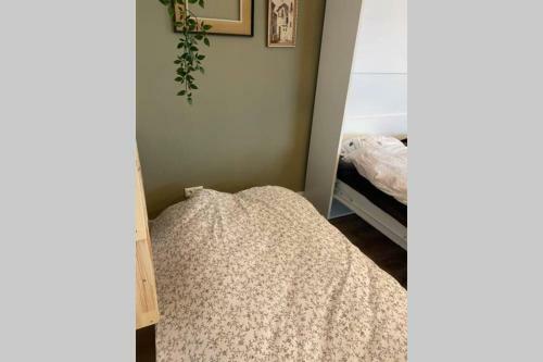 Apartamento Warm Welkom! Zeer Ruime Priv� Studio Met Tuin