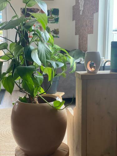Apartamento Warm Welkom! Zeer Ruime Priv� Studio Met Tuin