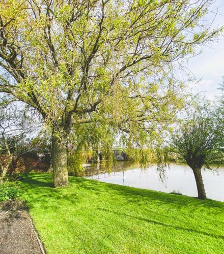 Bed & Breakfast Stay-inn Harlingen