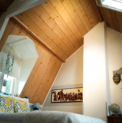 Charming House In Historic Haarlem