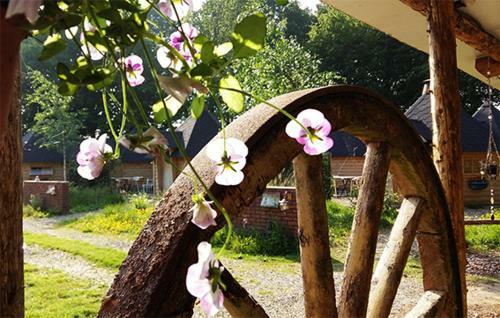 Bed & Breakfast de Buitenboel Bijons4