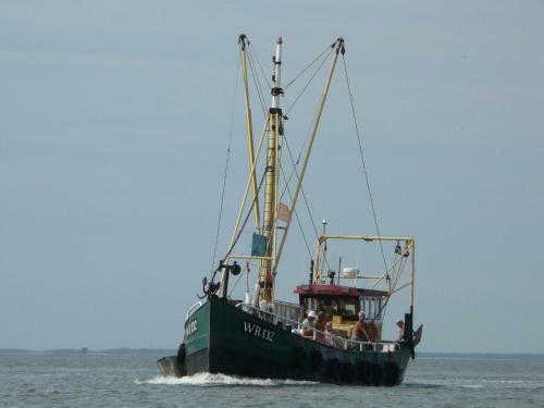 Comfortable Chalet With Dishwasher, Near The Wadden Sea