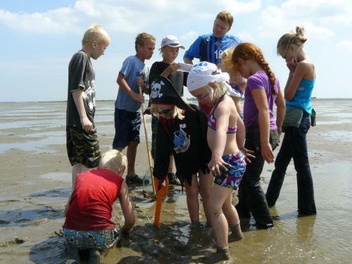 Comfortable Chalet With Dishwasher, Near The Wadden Sea