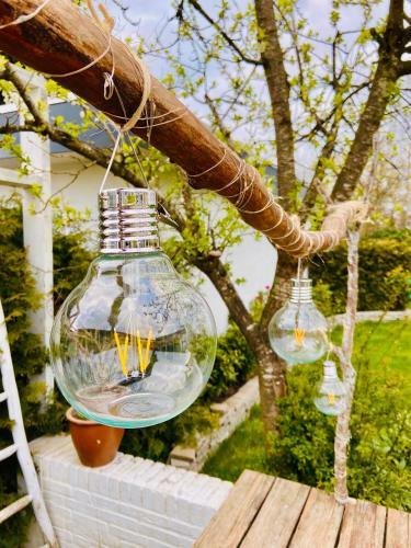 Bed & Breakfast de Tuinkamer-----priv� Diner Op de Kamer Mogelijk!!!