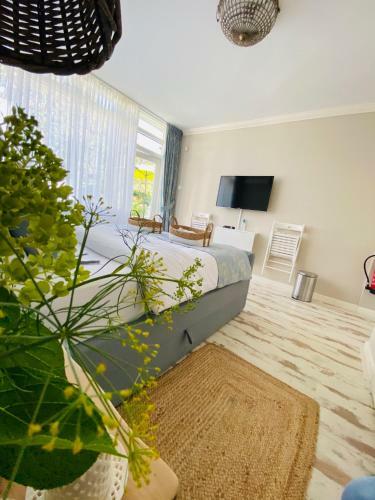 Bed & Breakfast de Tuinkamer-----priv� Diner Op de Kamer Mogelijk!!!