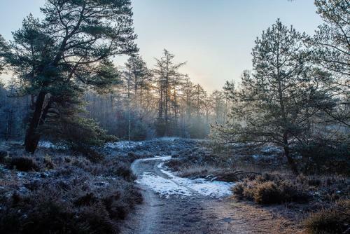 Chalet Forel Op De Veluwe In Hoenderloo