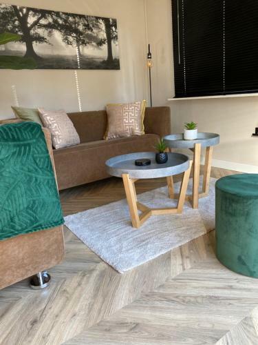 Chalet Forel Op De Veluwe In Hoenderloo