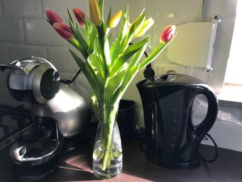 Bed & Breakfast Slapen Bij de Zeeuwse Lala