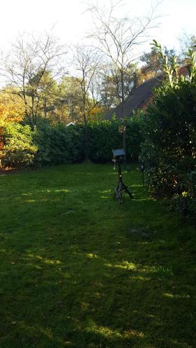 De Witte Bergen 80