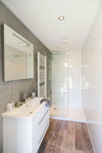 Cube Exclusive Plus Mit Meerblick Am Strand Im Droompark Bad Hoophuizen