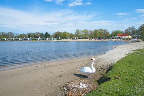 Cube Exclusiv Hulst 32 ~uitzicht Op Het Veluwemeer