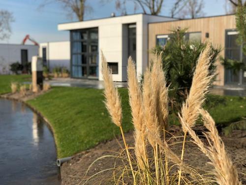 Cube Anker Am Veluwemeer Im Europarcs Bad Hoophuizen