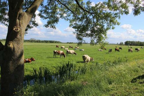 Comfortable Villa On Kaag Island Between The Lakes