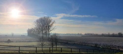 Bed & Breakfast Waard Van Kekerdom